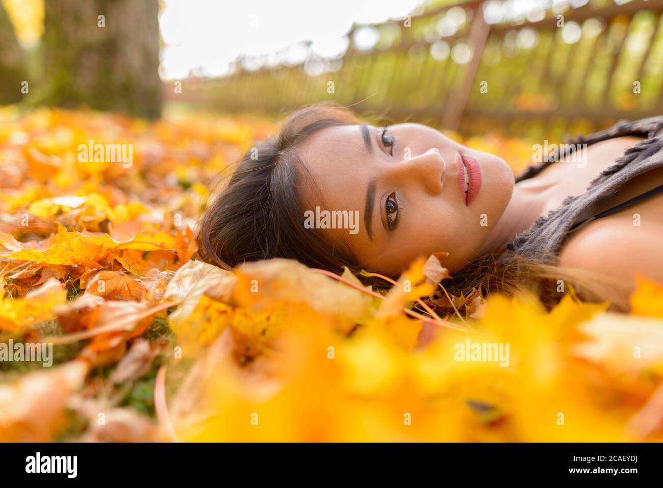 Giovane bella donna asiatica guardando in su mentre si sdraiava sulle foglie di autunno gialle Foto Stock