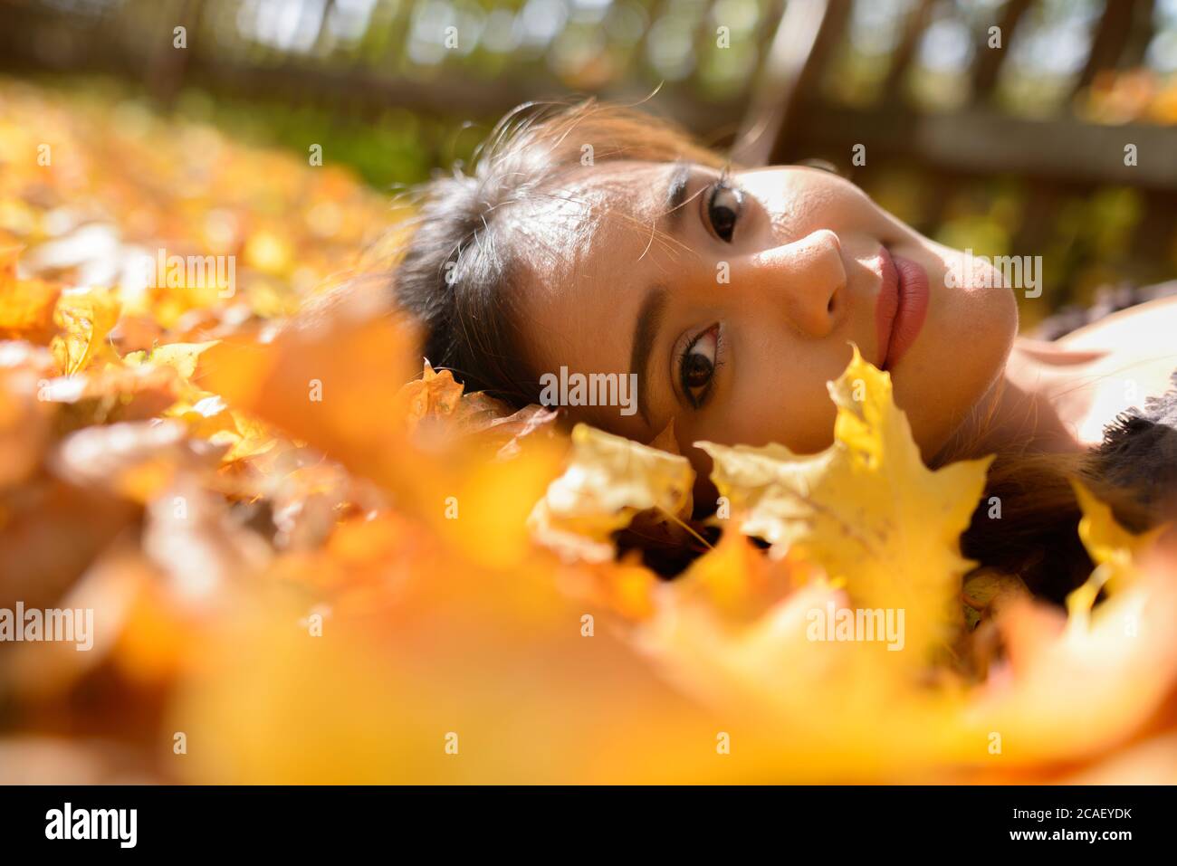 Fuoco della giovane bella donna asiatica che si distende sulle foglie di autunno gialle Foto Stock
