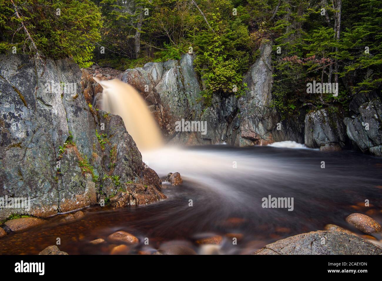 Acqua in corsa e rocce lucidate a Small Falls, J.T. Cheeseman Provincial Park, Terranova e Labrador NL, Canada Foto Stock