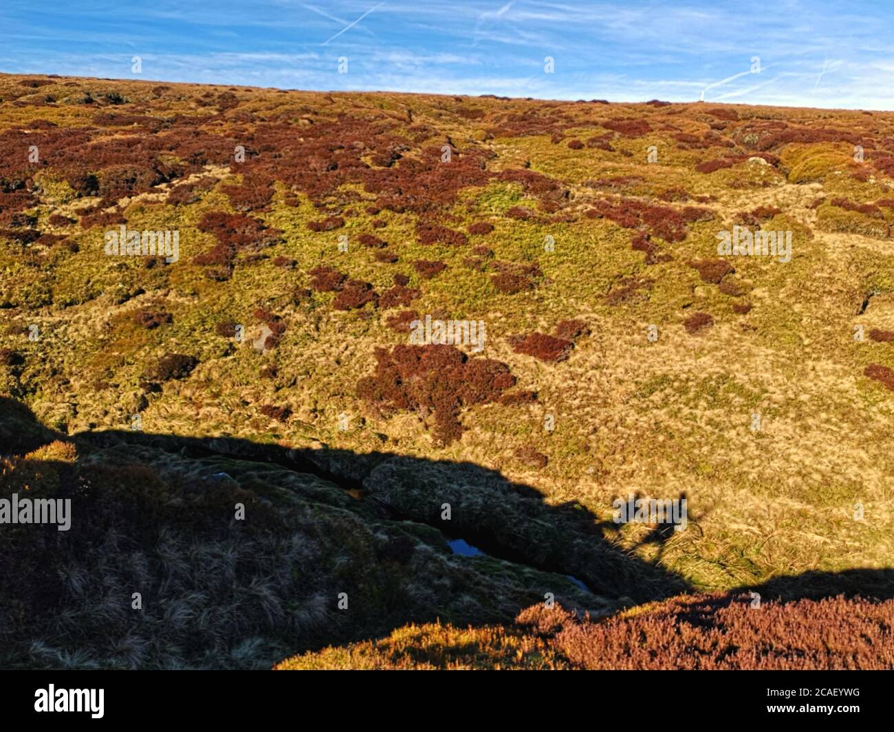 Due ombre che fanno pose divertenti negli altopiani inglesi Foto Stock