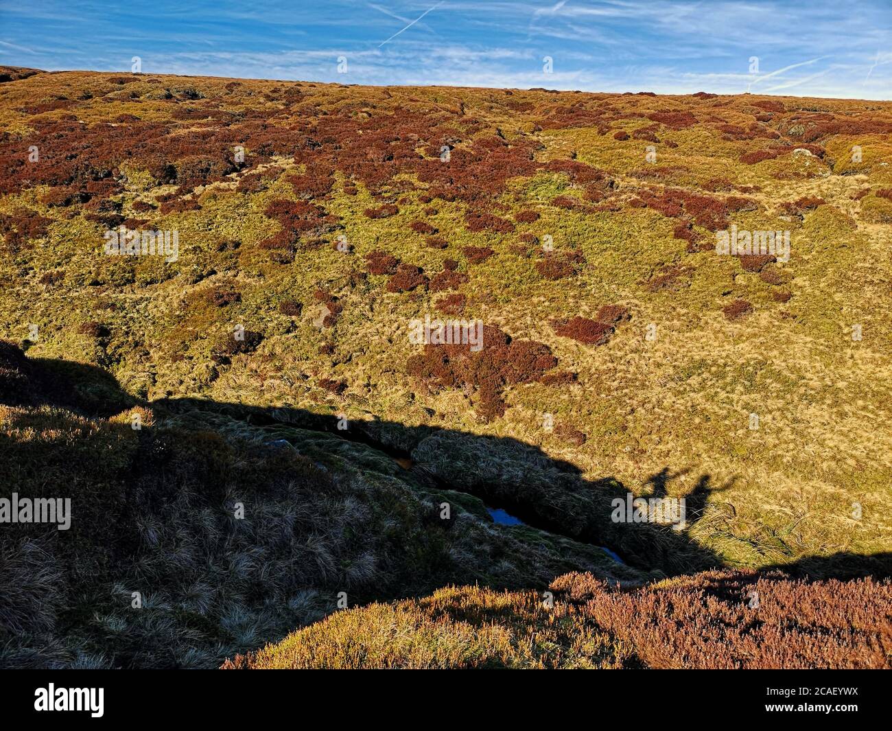 Due ombre che fanno pose divertenti negli altopiani inglesi Foto Stock