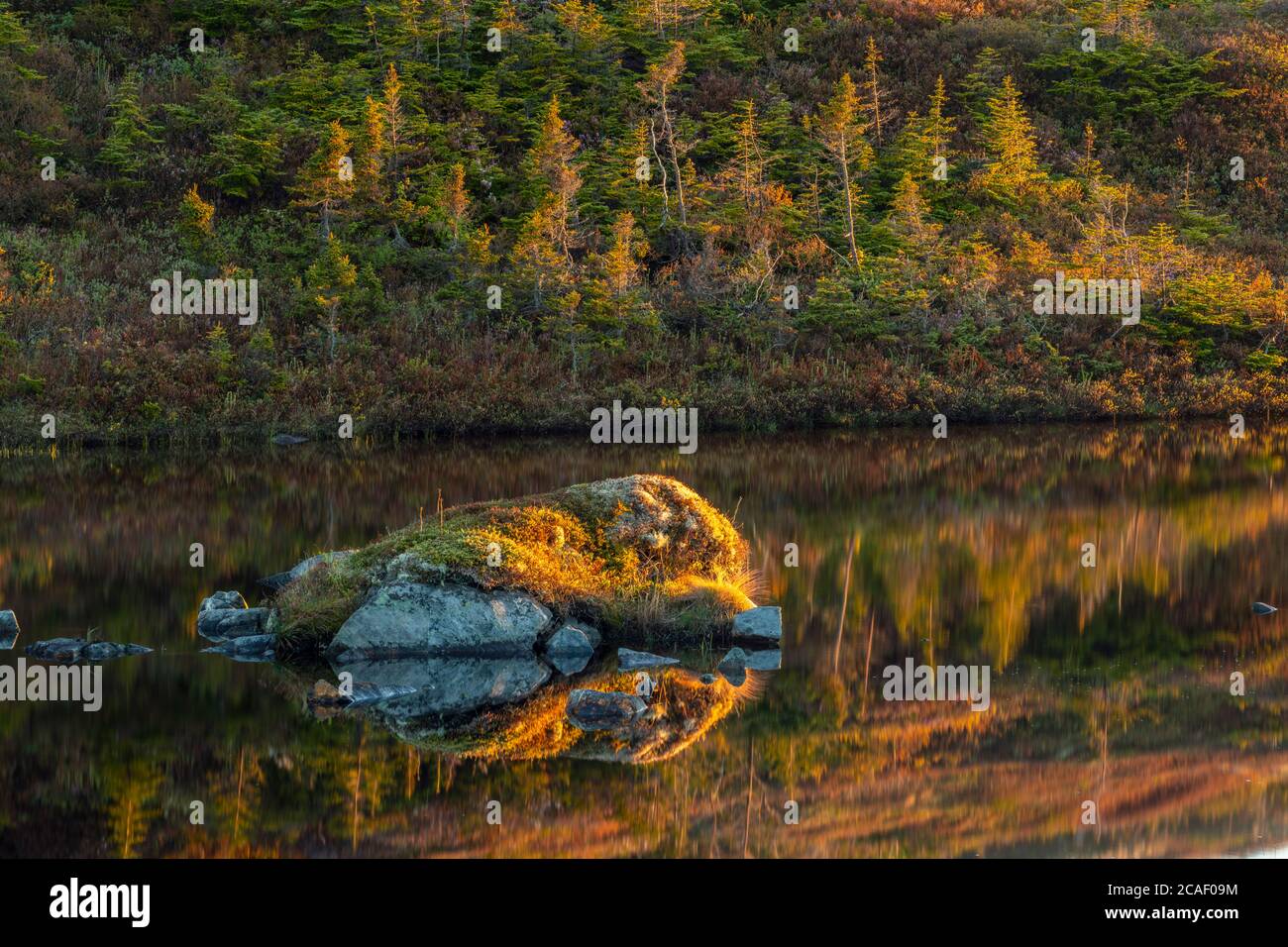 Stagni e terreni senza alberi all'alba, autostrada 470 vicino a Margaree, Terranova e Labrador NL, Canada Foto Stock