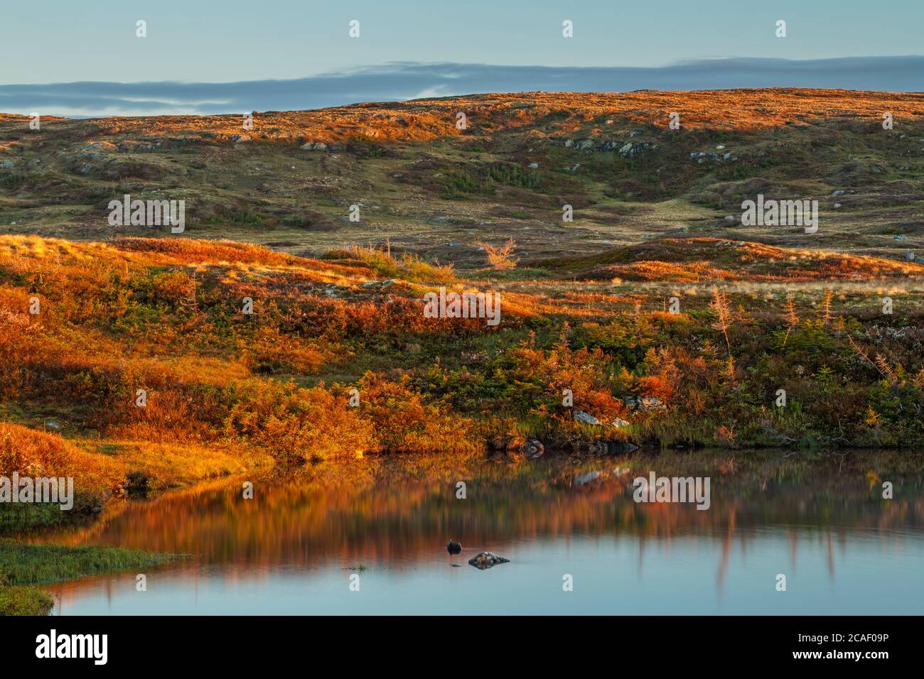 Stagni e terreni senza alberi all'alba, autostrada 470 vicino a Margaree, Terranova e Labrador NL, Canada Foto Stock