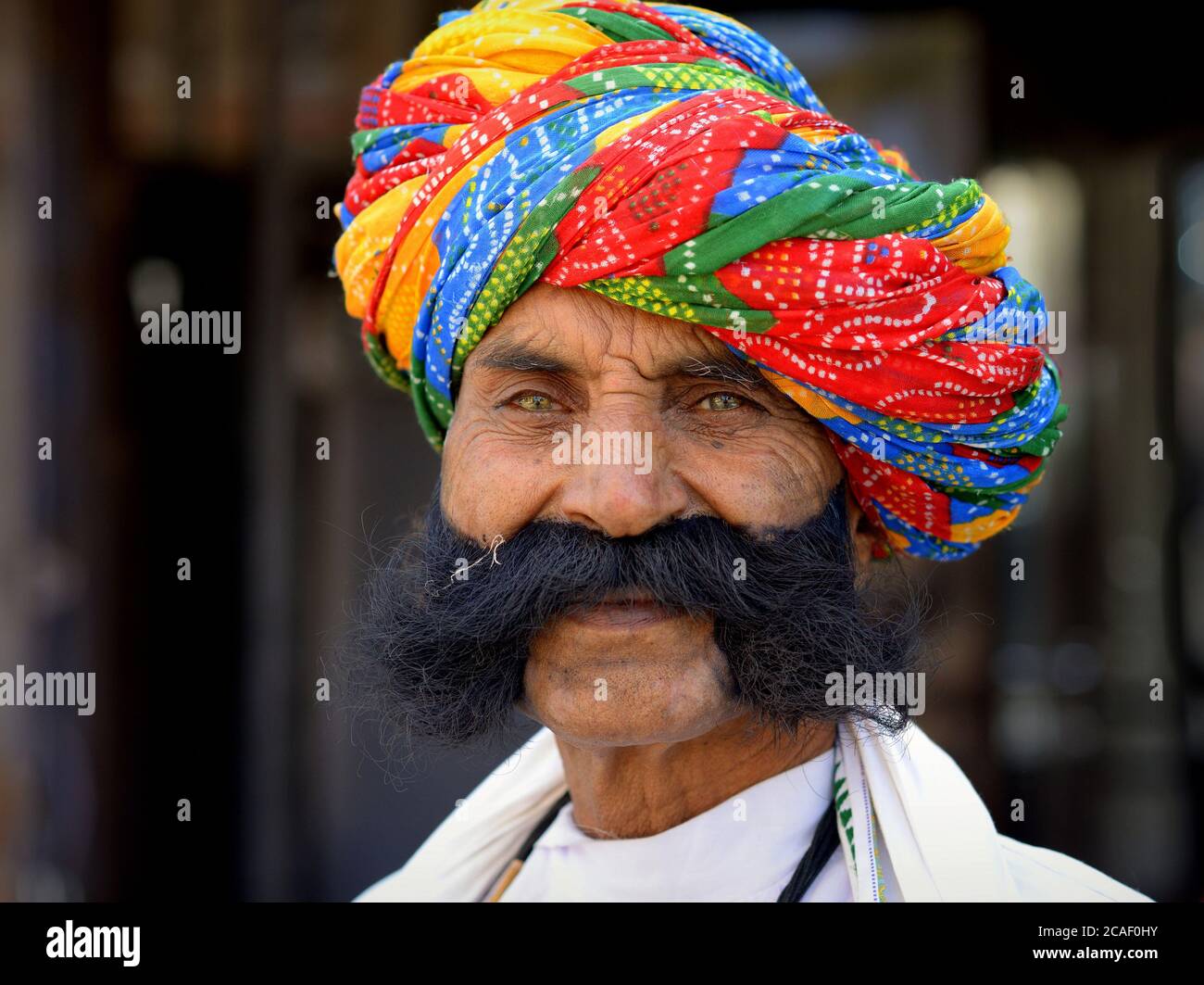 Vecchio Rajasthani indiano con un baffi grande tinto nero (braciole di mutton amichevoli indossa un turban colorato di Rajasthani (pagari) e guarda la macchina fotografica. Foto Stock