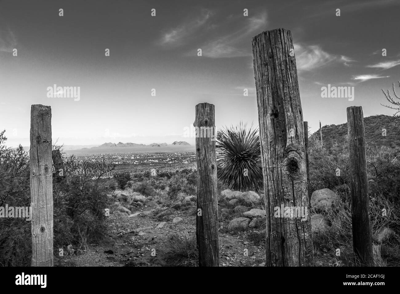 Vecchi pali di recinzione sul Baylor Pass Trail, New Mexico 8241 Foto Stock