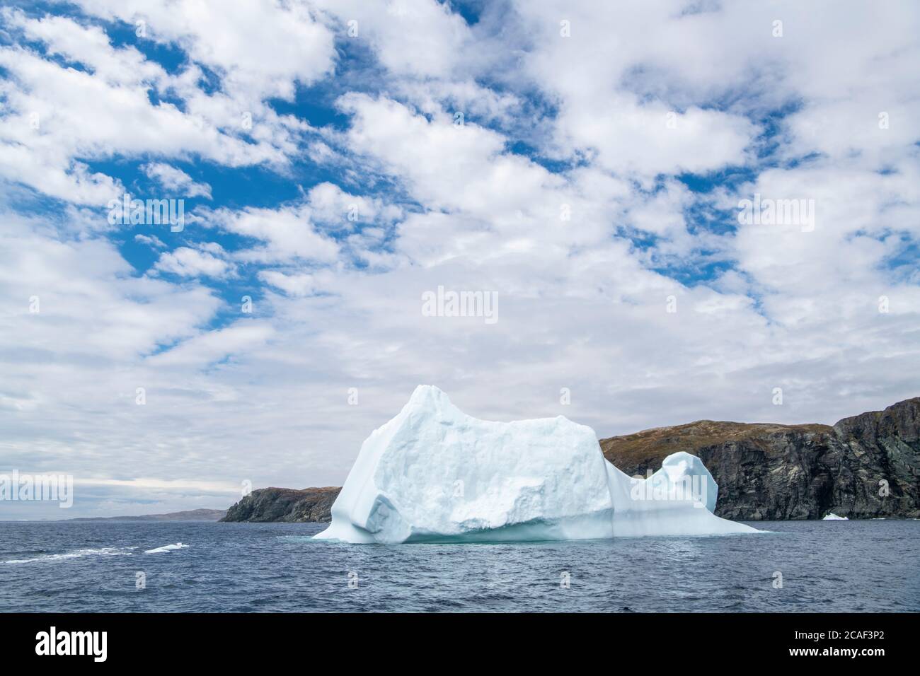 Iceberg costiero, vicino a St. Anthony, Terranova e Labrador NL, Canada Foto Stock