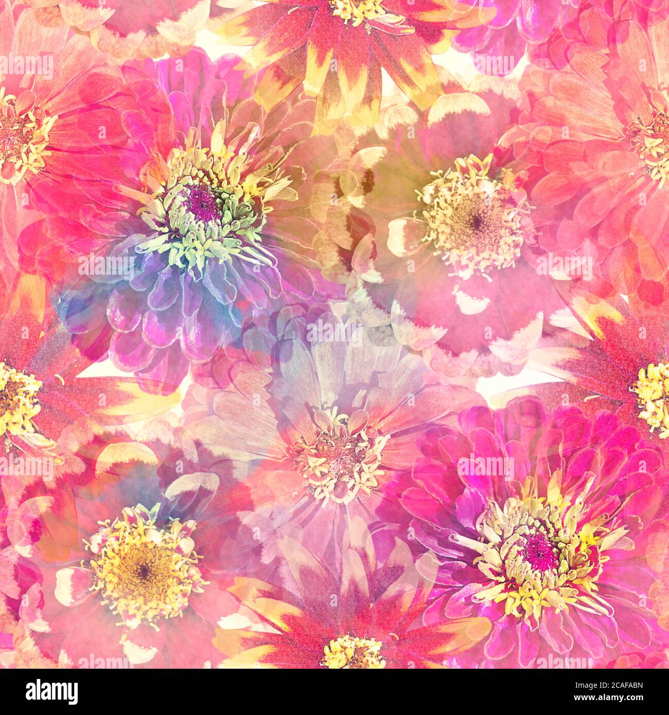 Design floreale senza cuciture con fiori di zinnia per lo sfondo, motivo infinito. Illustrazione Watercolor. Foto Stock