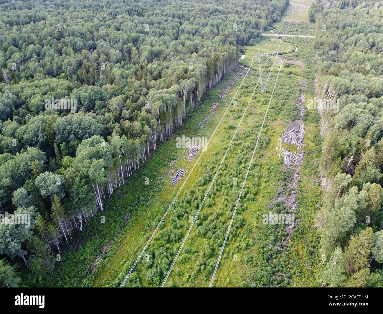 Vista aerea dall'alto verso il basso delle linee elettriche situate nella foresta. Foto Stock