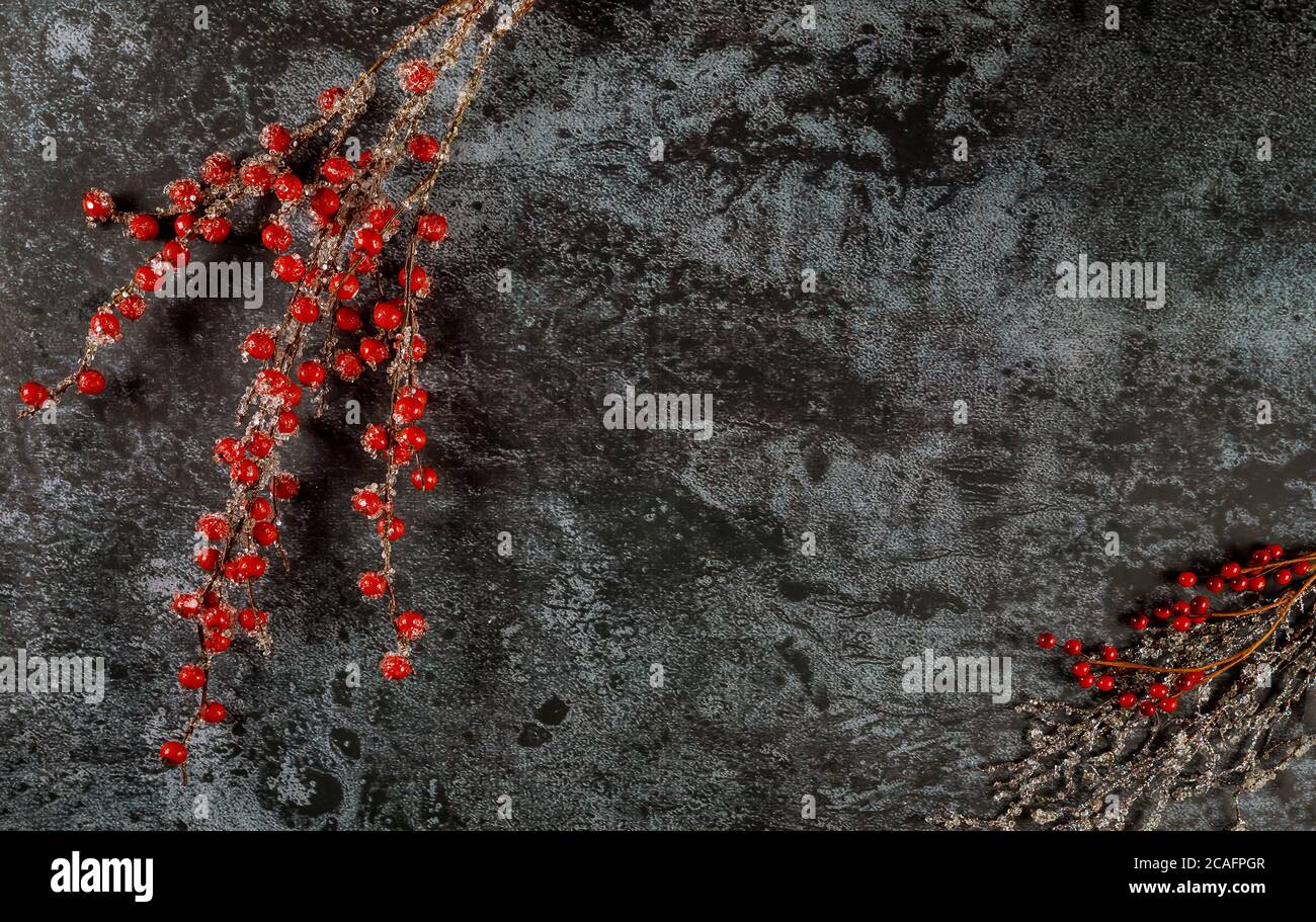Natale e nuovo anno sfondo scuro con rami ghiacciati di bacche rosse. Foto Stock