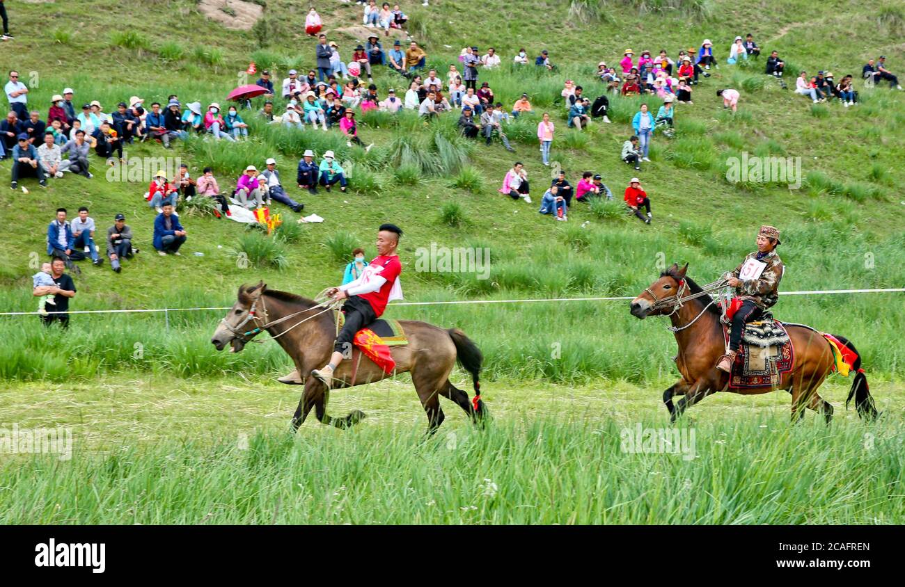 Zhangye, Zhangye, Cina. 7 agosto 2020. GansuÃ¯Â¼Å CINA-herders e cavalieri galoppo sulla prateria in Horseshoe Tibetan Township nella contea autonoma di Sunan Yugur di Zhangye City, nella provincia di Gansu della Cina nord-occidentale, 4 agosto 2020. Più di 3,000 turisti da Qinghai, Xinjiang e contee e città vicine sono attratti per vedere il project.on quel giorno, Più di 60 Riders dei gruppi etnici tibetani e Yugu hanno tenuto una corsa tradizionale sulle corse dei cavalli al Festival delle corse dei cavalli della città tibetana di Horseshoe nella contea autonoma di Sunan Yugu, nella città di Zhangye, nella provincia di Gansu. Si trova presso il Foto Stock