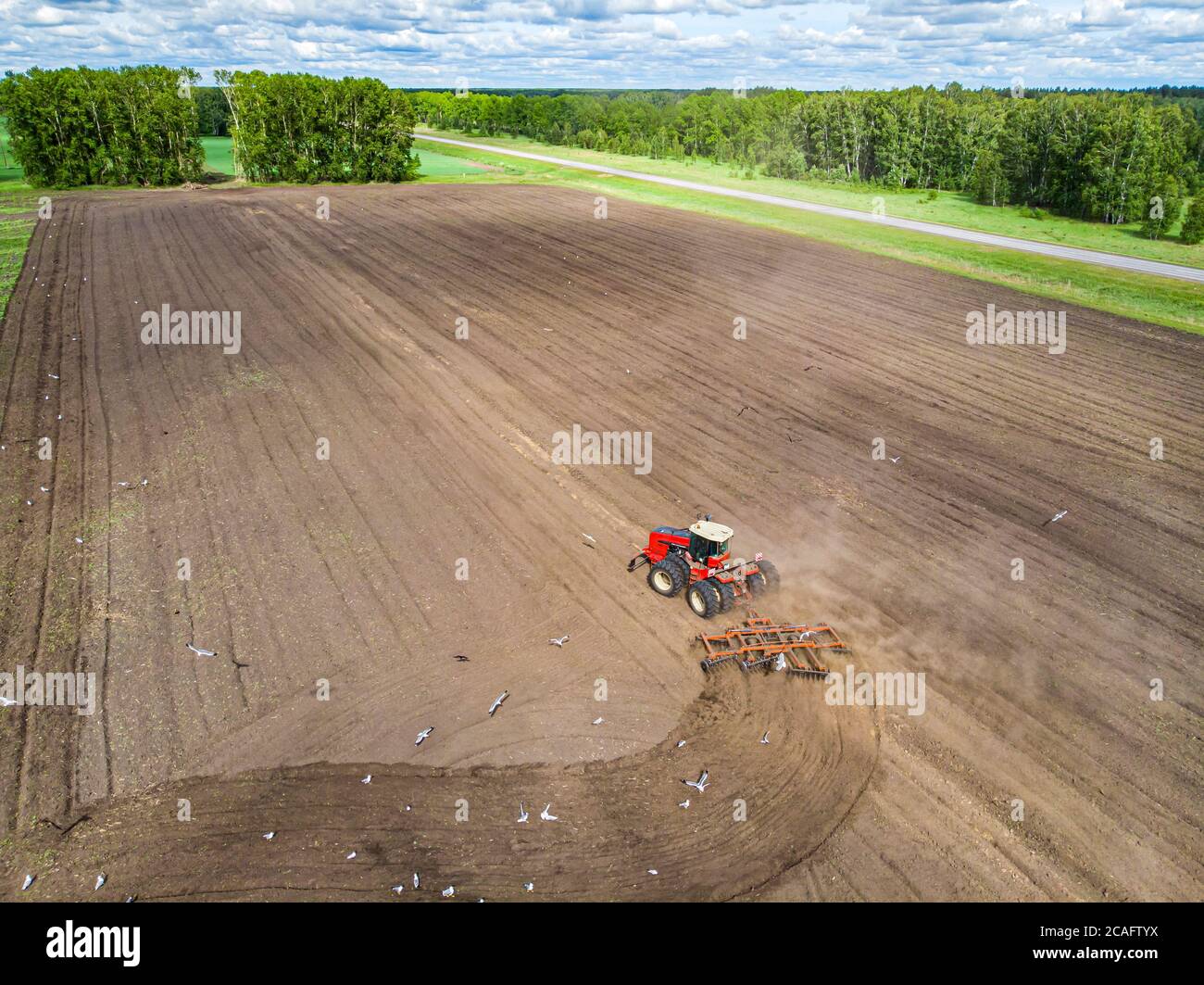 Trattore in funzione nei campi, Vista aerea. Fieno su campo. La vista dall'alto. Il trattore raccoglie l'erba secca Foto Stock