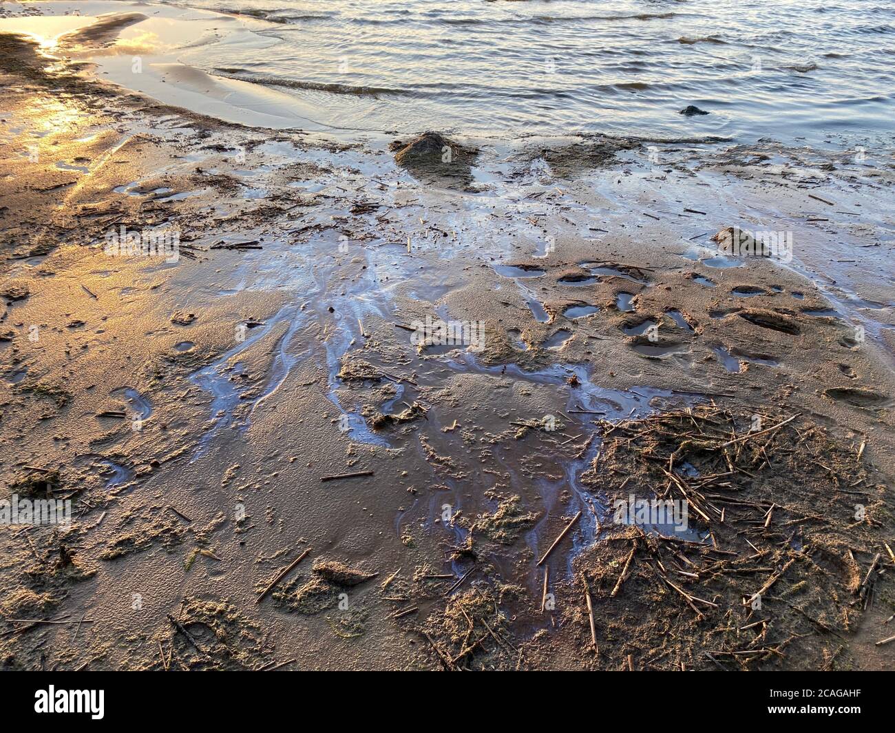macchie di olio sulla spiaggia sabbia disastro ambientale Foto Stock