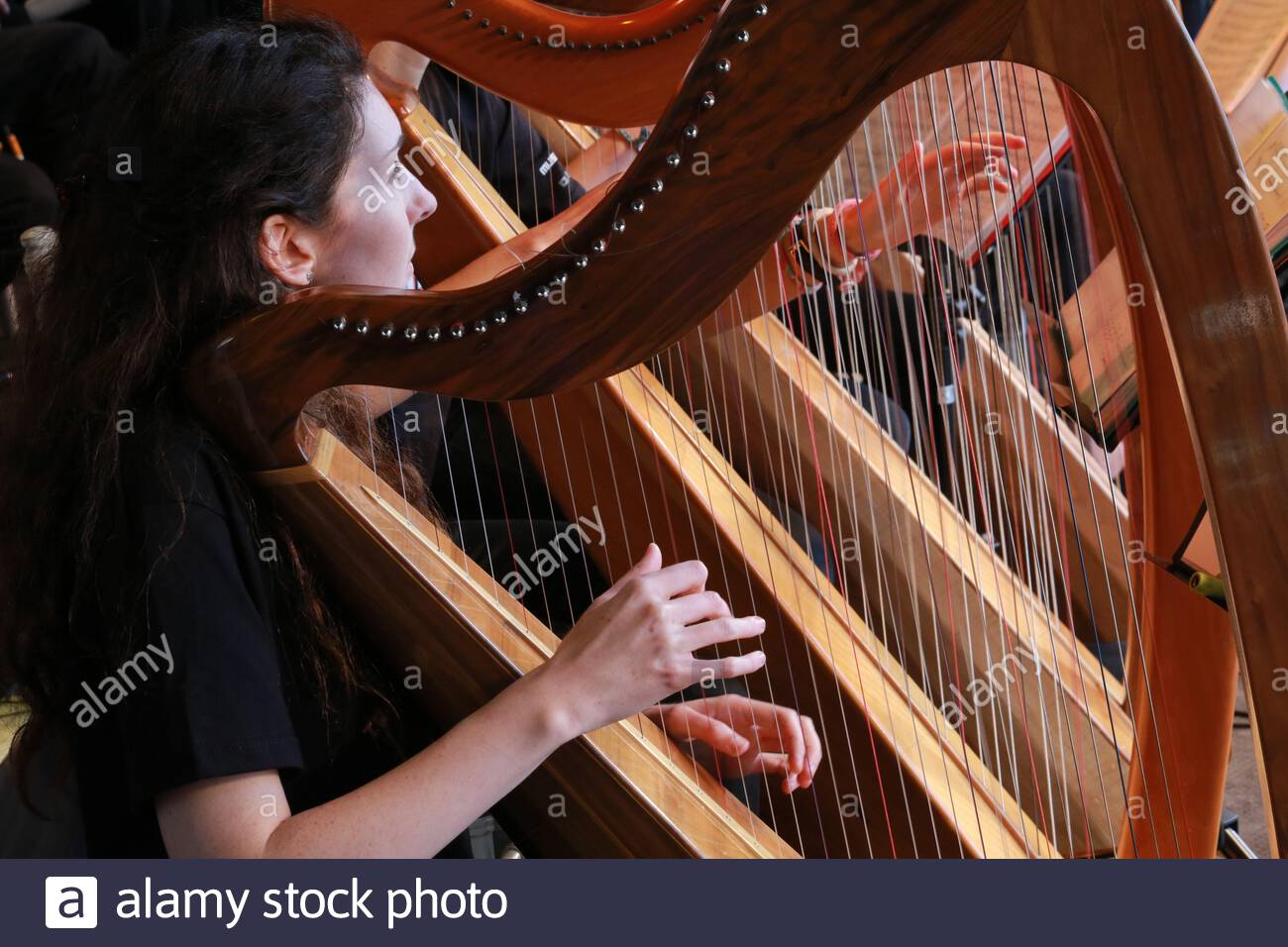 Musicista irlandese che suona sul palco al festival musicale Fladh Cheoil di Drogheda, Irlanda. Foto Stock