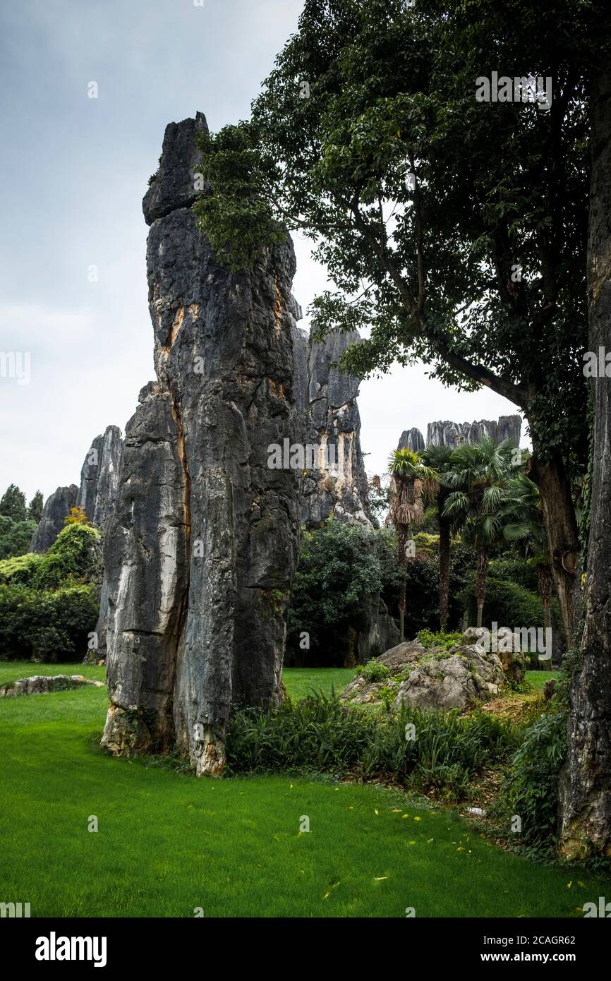 La foresta di pietra o di Shilin, Kunming, nella provincia dello Yunnan in Cina, Asia, Asia, Asia orientale, Estremo Oriente Foto Stock