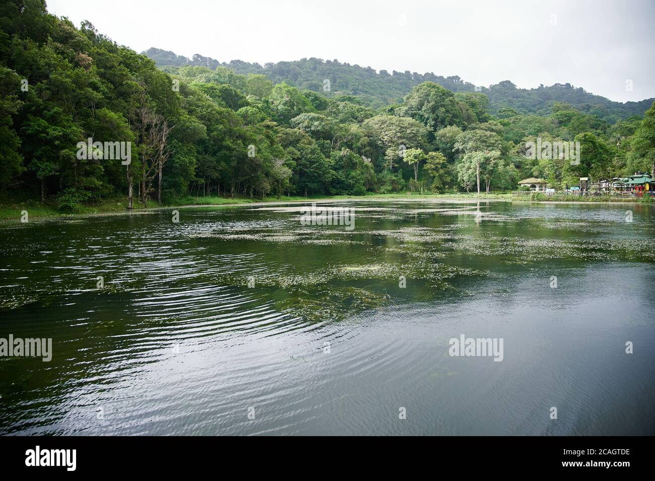 Lago sulla foresta della giungla in luminoso sfondo di giorno di sole Foto Stock