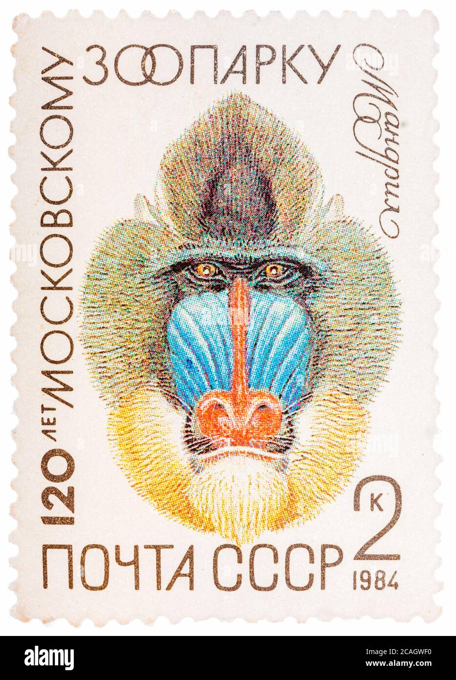 Il francobollo postale stampato in URSS mostra un Mandrill, serie 120 anniversario dello Zoo di Mosca Foto Stock