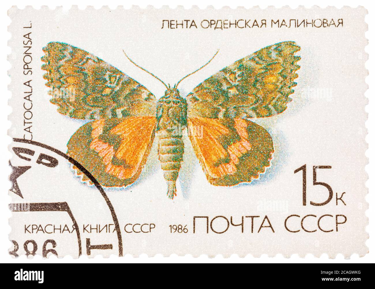 Il timbro stampato in URSS (Russia) mostra una farfalla con l'iscrizione 'Catocala sponsoraa' Foto Stock