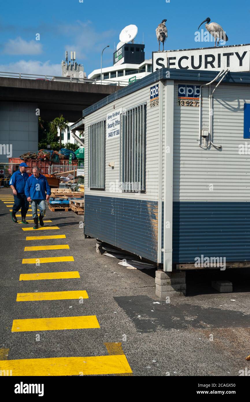 26.09.2019, Sydney, nuovo Galles del Sud, Australia - Vista esterna con rampa di carico del mercato del pesce di Sydney sulla Blackw13le Bay a Pyrmont. 0SL190926D02 Foto Stock