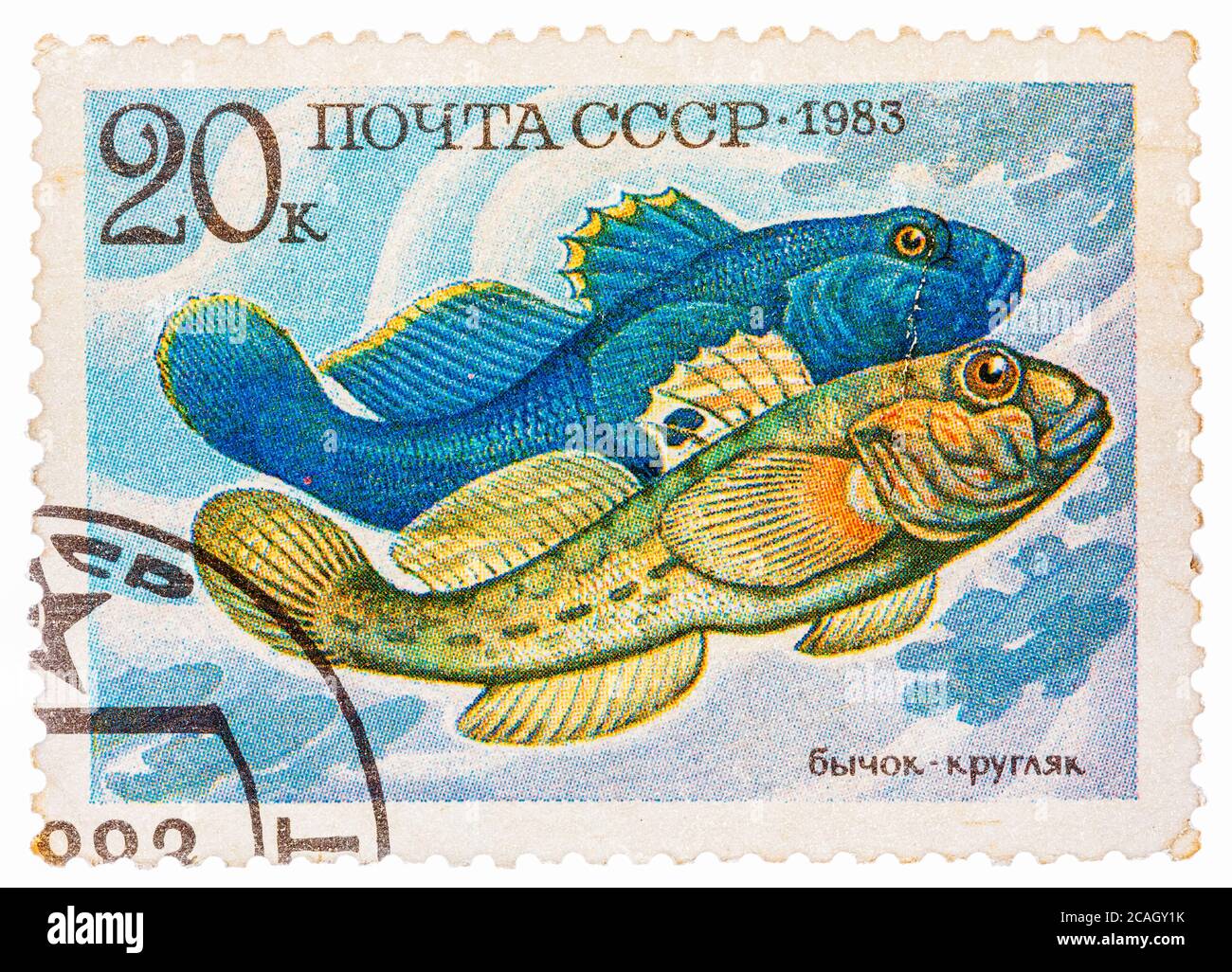 Francobollo stampato dalla Russia, mostra pesce, Neogobius fluviailis Foto Stock