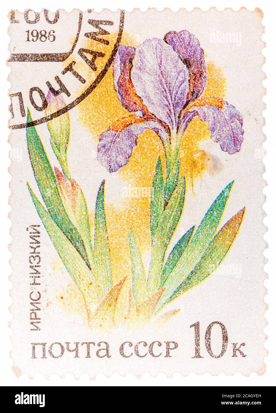 Il francobollo stampato in URSS dal numero 'Plants of Russian Steppes' mostra Iris Foto Stock