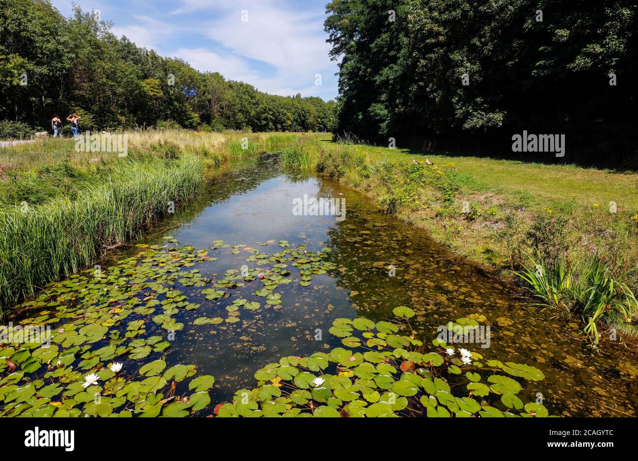 30.07.2020, Duisburg, Renania Settentrionale-Vestfalia, Germania - Landschaftspark Duisburg-Nord, un parco paesaggistico che copre circa 180 ettari intorno a un i disusato Foto Stock