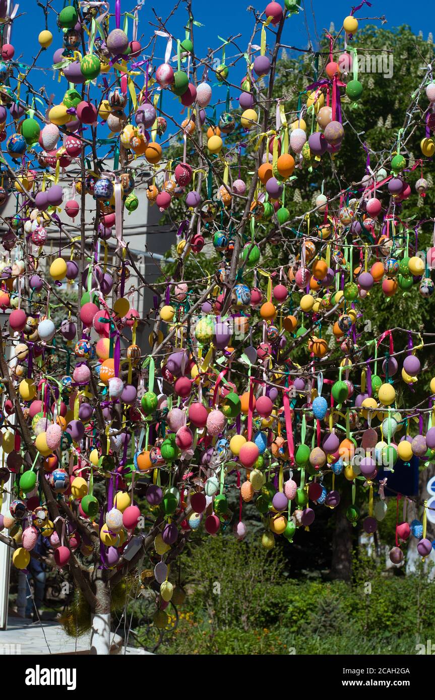 Uova di Pasqua decorate su albero Foto Stock