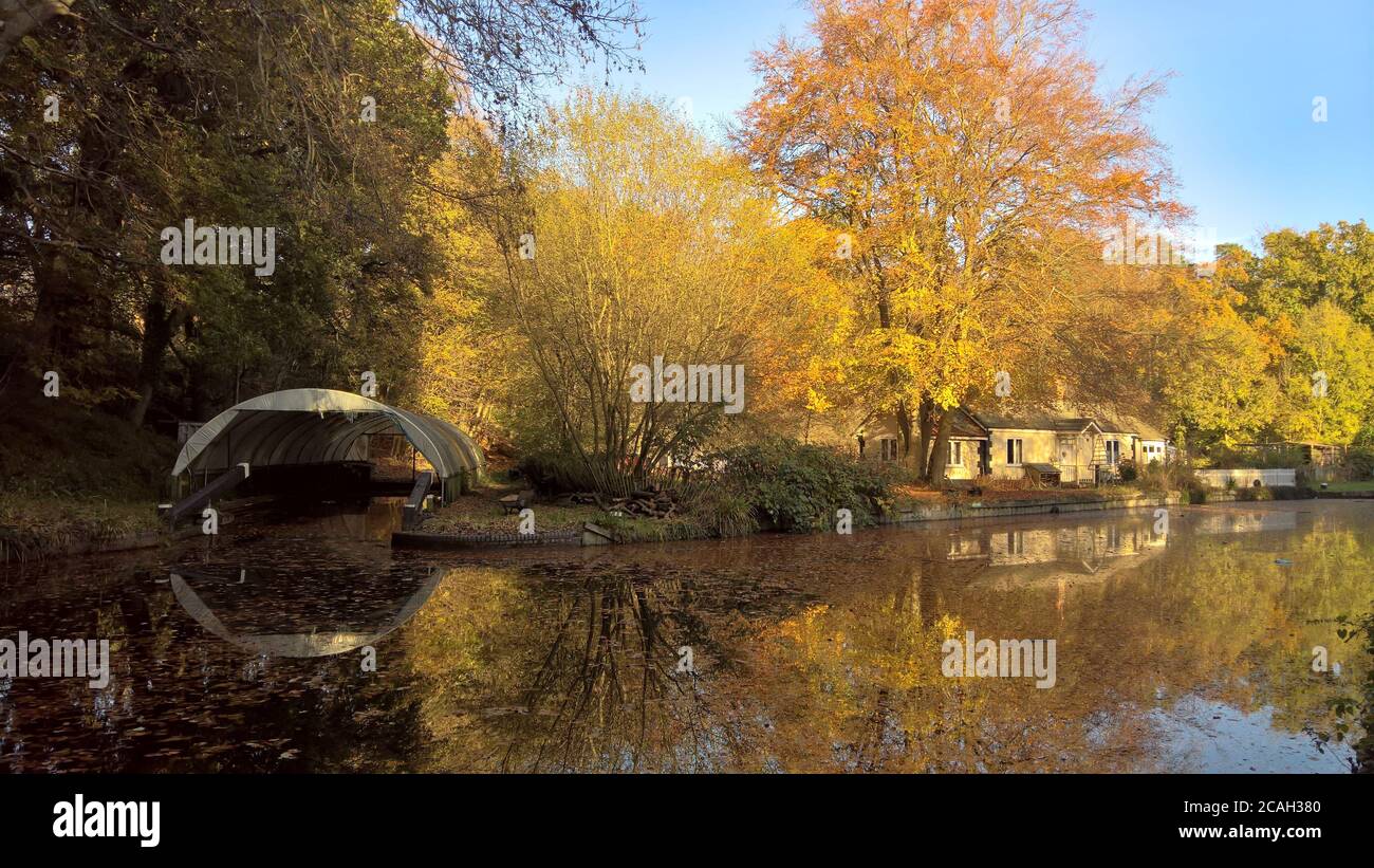 Colori autunnali da un cottage lungo il bel canale di Basingstoke Vicino Deepcut in Surrey Foto Stock