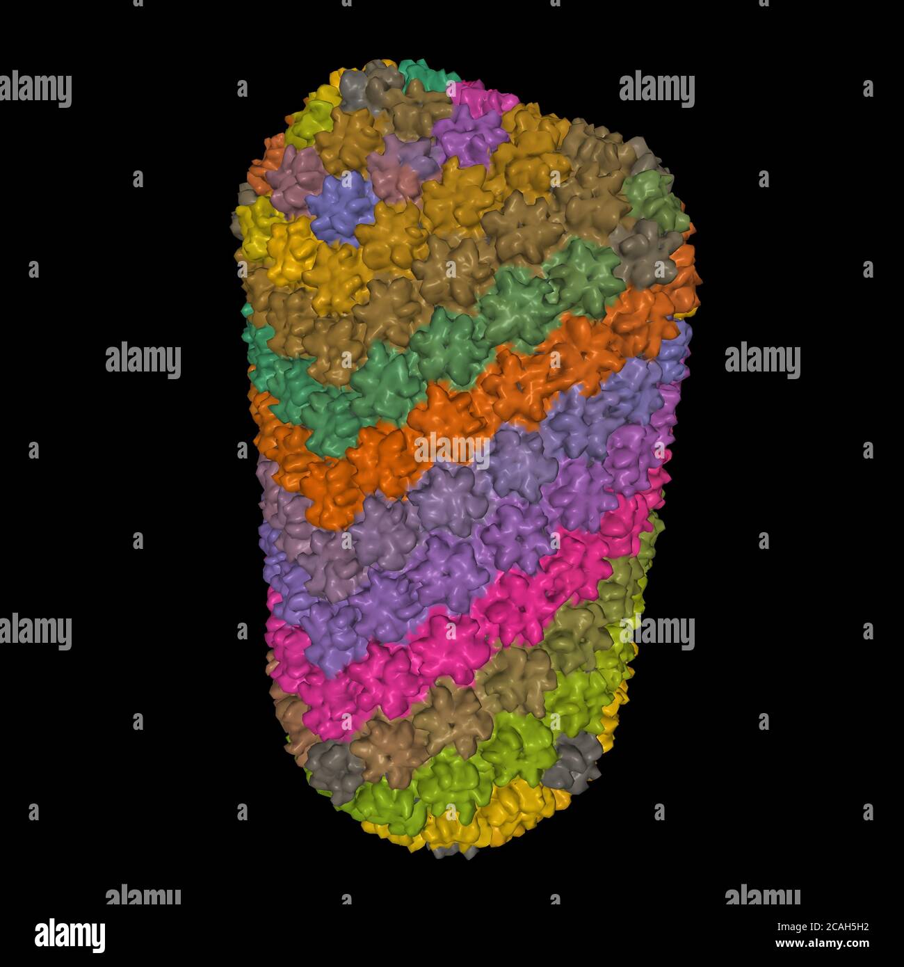 Struttura del capside HIV-1, modello di superficie 3D, sfondo nero, schema di colorazione ID catena Foto Stock