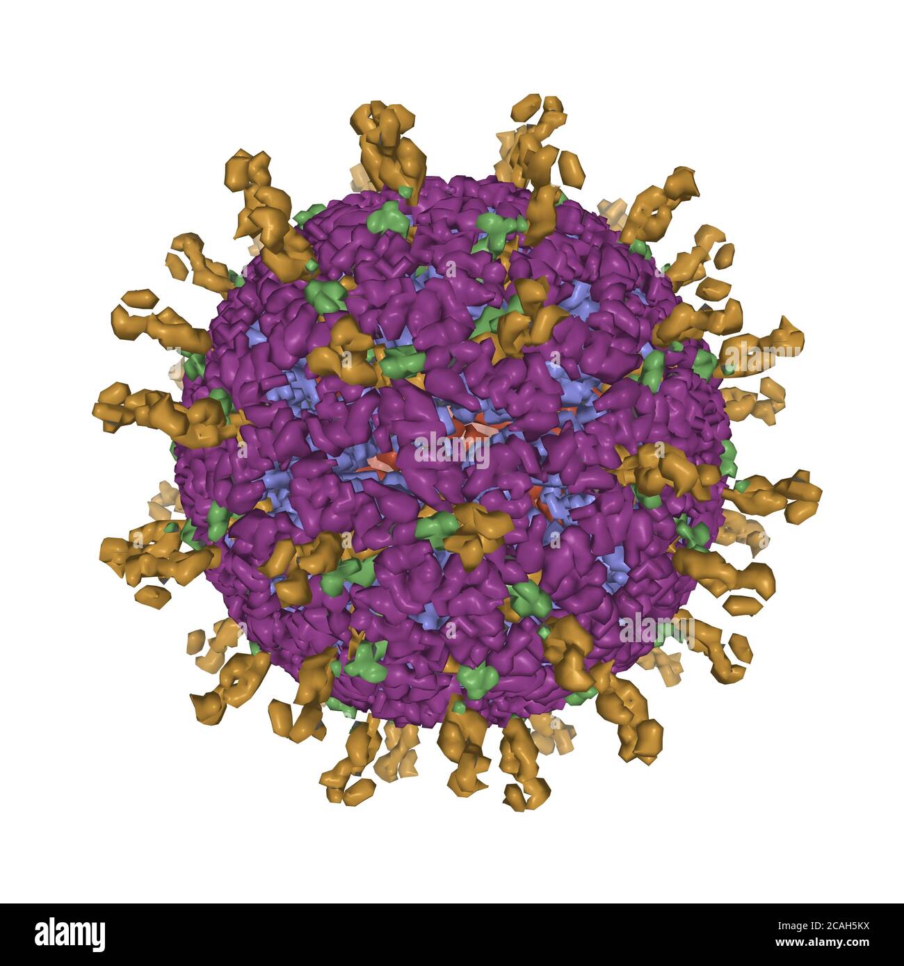 Modello atomico di una particella infettiva di rotavirus, modello di superficie gaussiana 3D, sfondo bianco Foto Stock