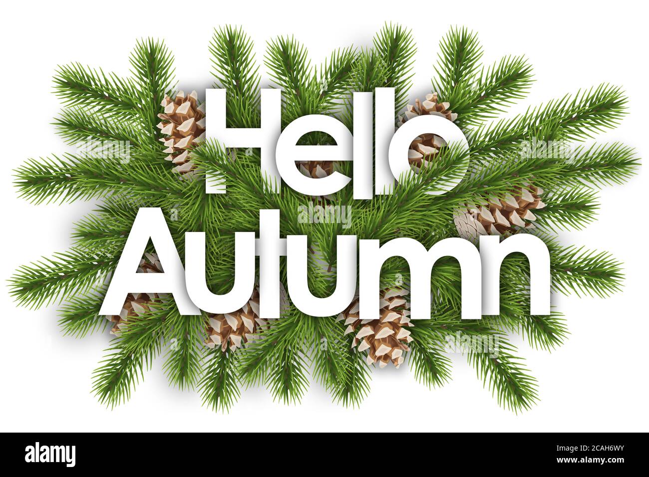 Ciao autunno in sfondo di natale - branchi di pino Foto Stock