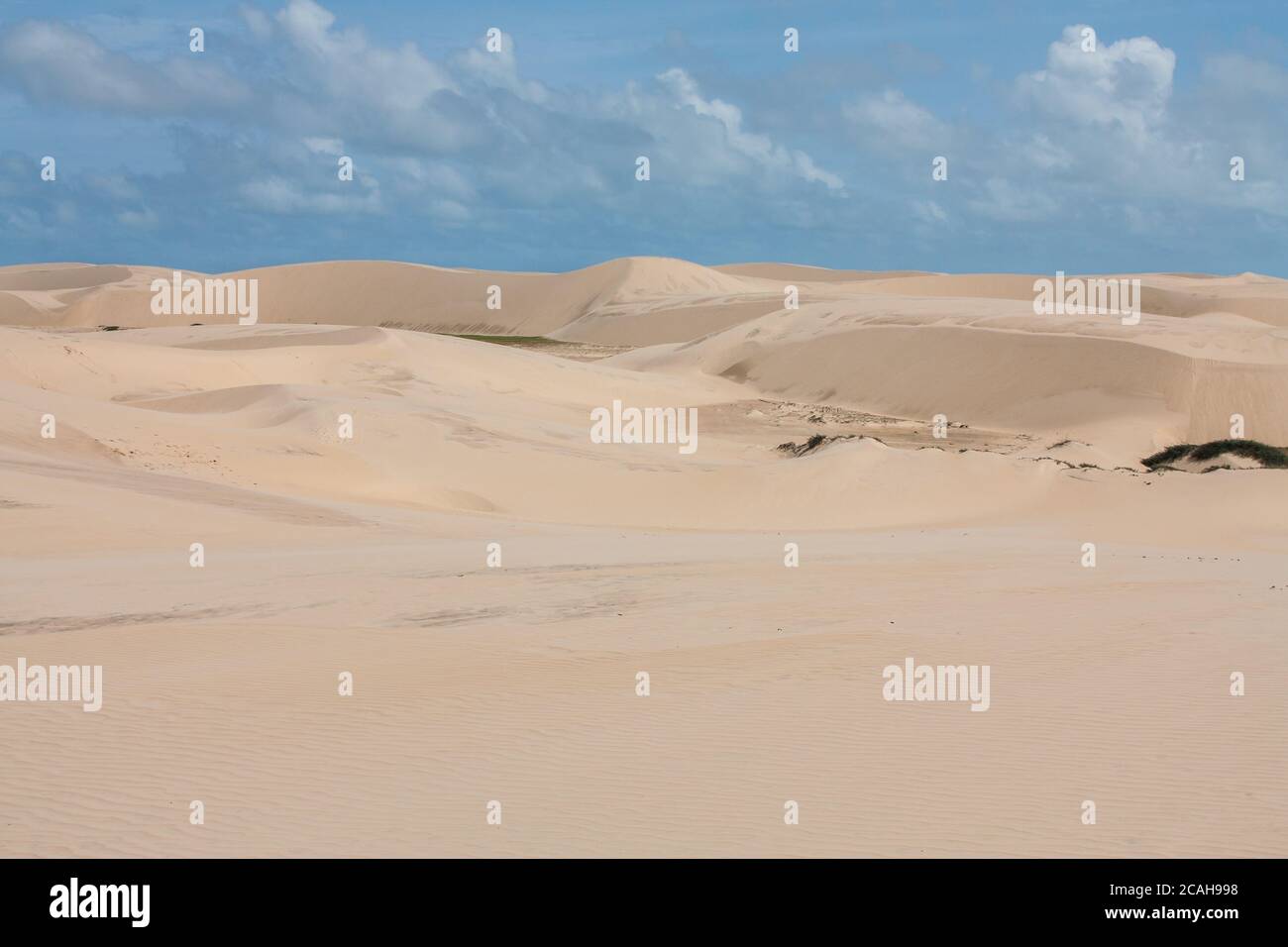 Dune di sabbia al Parco Nazionale Lencois Maranhenses - Maranhao - Brasile Foto Stock