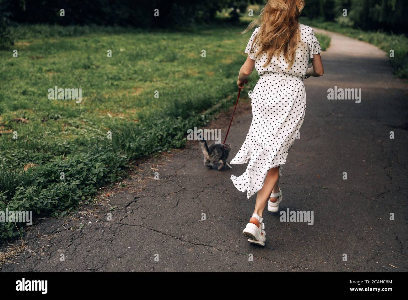 Donna in un lungo vestito bianco indietro cammina con un cuccioli di animali domestici allevano direttamente nel parco in estate Foto Stock