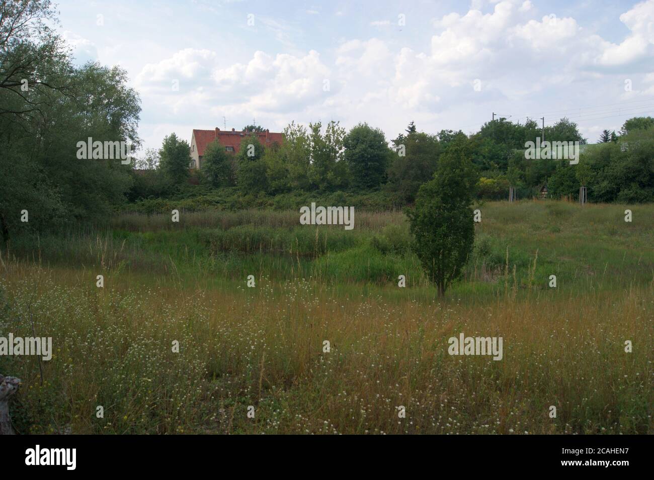 Die Heidelake, ein Teich in der Gartenstadt-Staaken am Ungewitterweg, nahe Feuerwehr, die im Volksmund auch Paddenpuhl genannt wird. Foto Stock