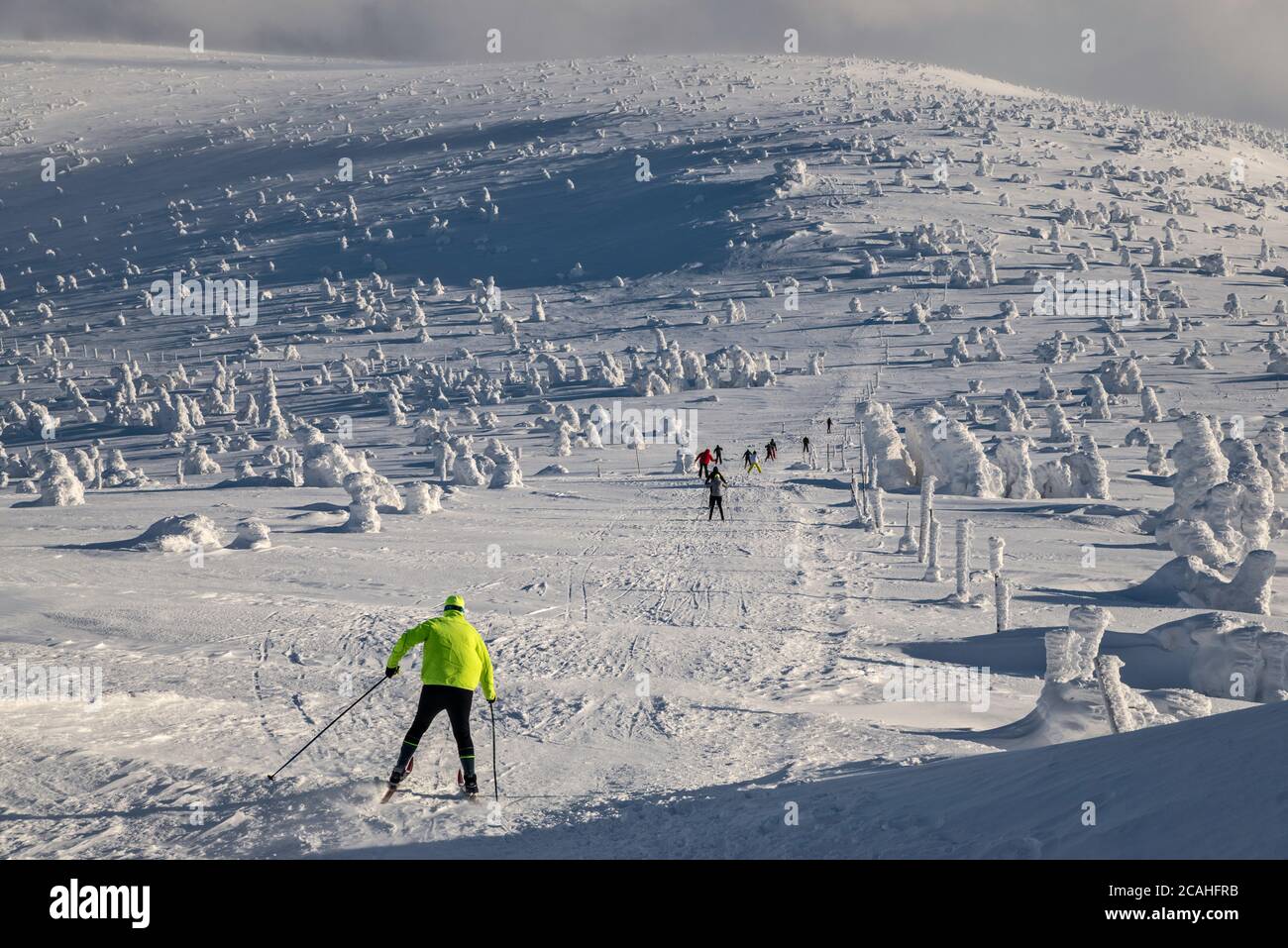 Sciatori in pista, seguendo il confine polacco/ceco, zona subalpina sotto la vetta di Szrenica, Parco Nazionale di Karkonosze, al confine tra Polonia e Repubblica Ceca Foto Stock