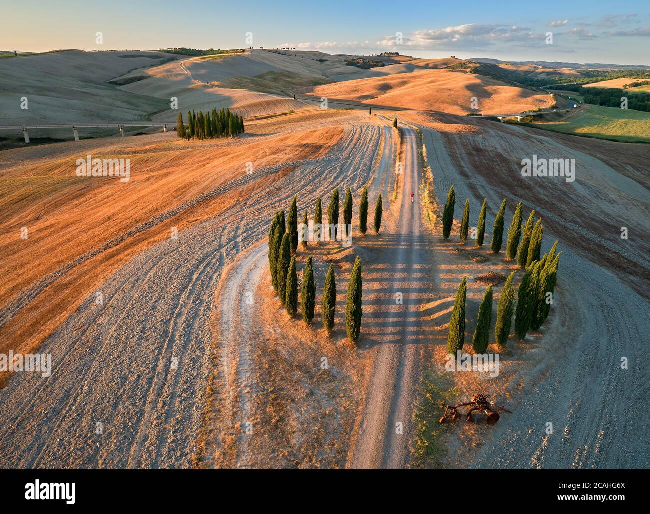 Veduta aerea verticale del famoso cerchio di cipressi. Colorato tramonto su  strada di ghiaia che conduce attraverso un cerchio di cipressi. Paesi della  Toscana Foto stock - Alamy