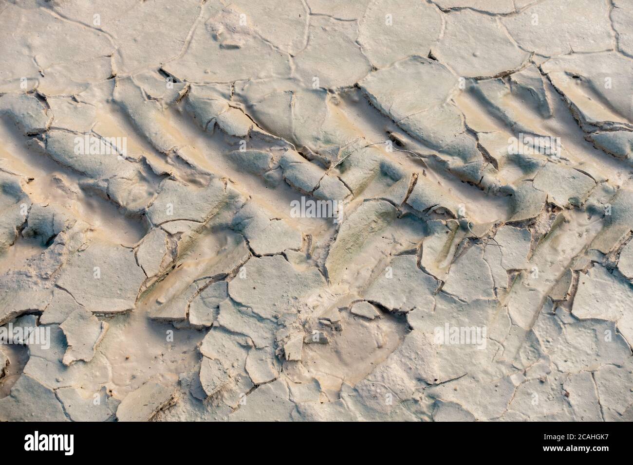 modello di fango secco Foto Stock