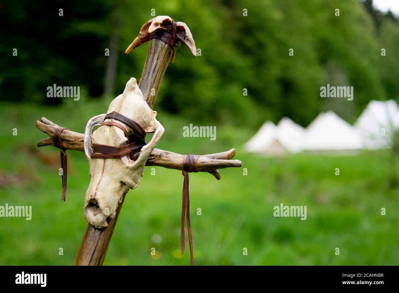 Il personale dello sciamano è realizzato in legno e pelle con teschi animali su erba di fronte a boschi forestali e tende medievali sul festival larp di azione dal vivo Foto Stock