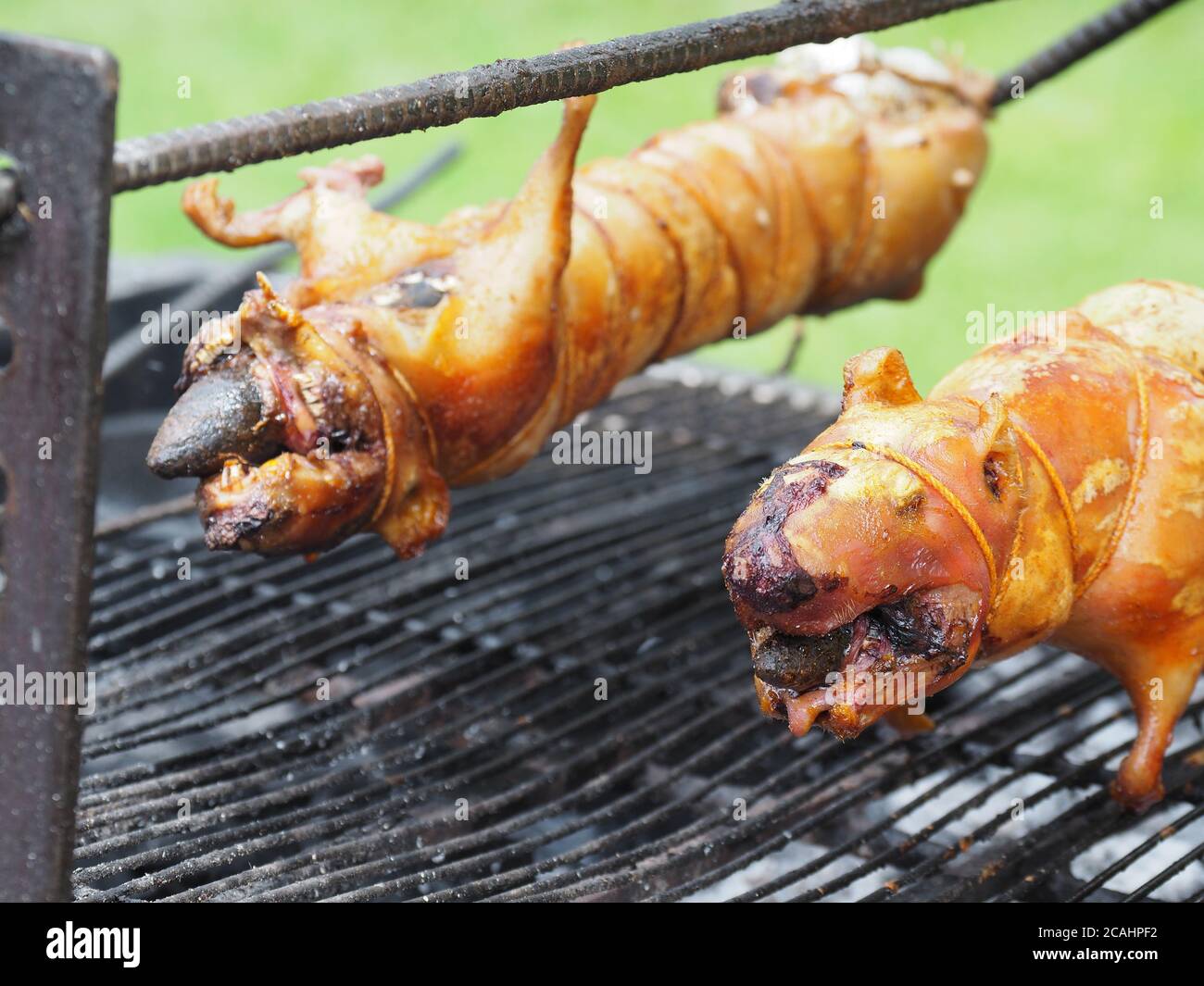 Closeup shot di un maialino arrosto sulla legna da ardere spaccata Foto Stock