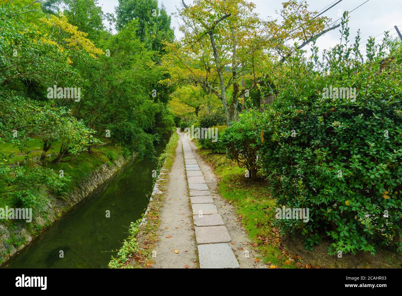 Vista del percorso di filosofi (Tetsugaku no Michi), a Kyoto, Giappone Foto Stock