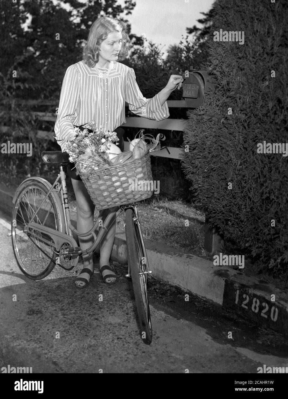 Circa anni '40, giovane donna con la sua bicicletta con cesto di verdure e fiori, controllando una cassetta postale su un cancello da giardino, Stati Uniti. Foto Stock
