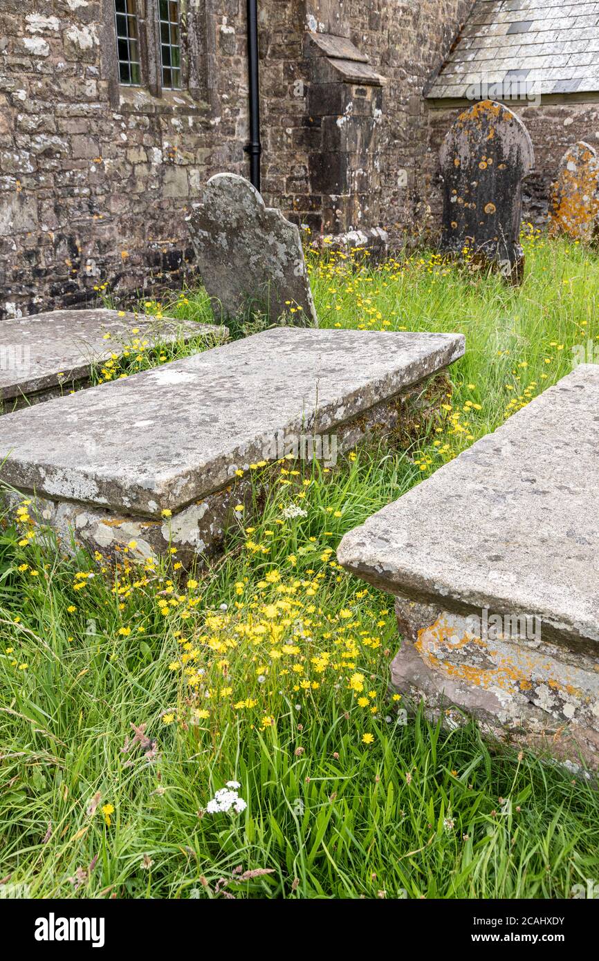 Exmoor National Park - Tombe e lapidi nel cortile della chiesa di Stoke Pero, Somerset UK Foto Stock
