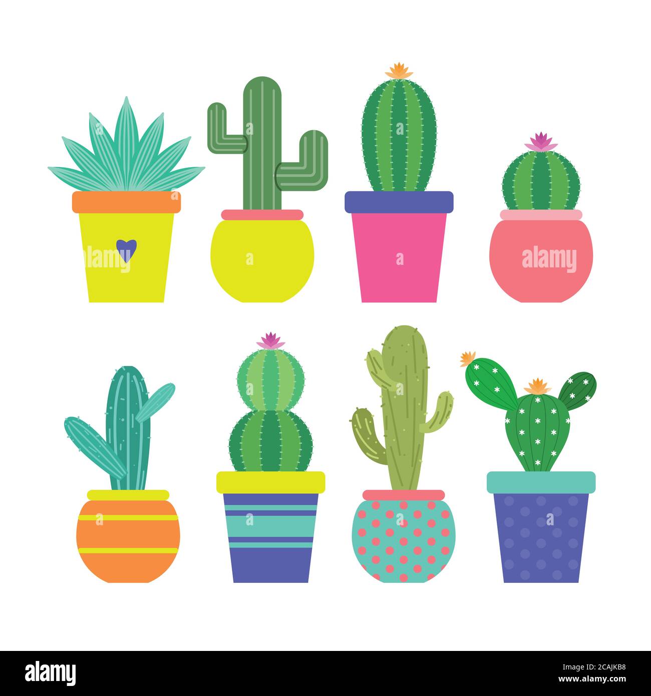 Icone Cactus in uno stile piatto. Home piante cactus in pentole e con fiori. Una varietà di cactus decorativo con prickles e senza. Illustrazione vettoriale Illustrazione Vettoriale