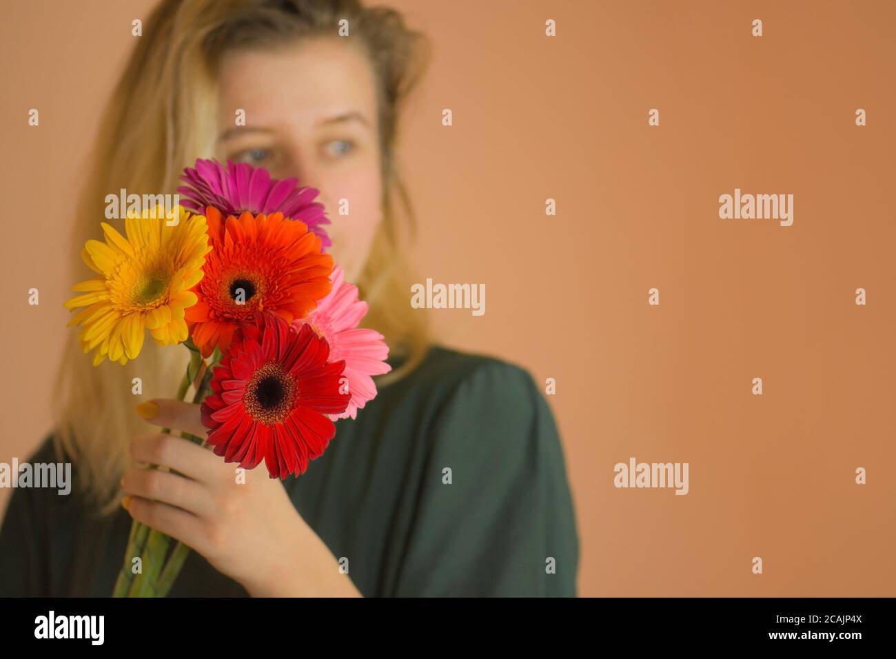 Bella donna ha ricevuto un bouquet regalo di gerbere fiori. Bouquet primaverile di gerbere nelle mani della donna su fondo beige chiaro. Foto Stock