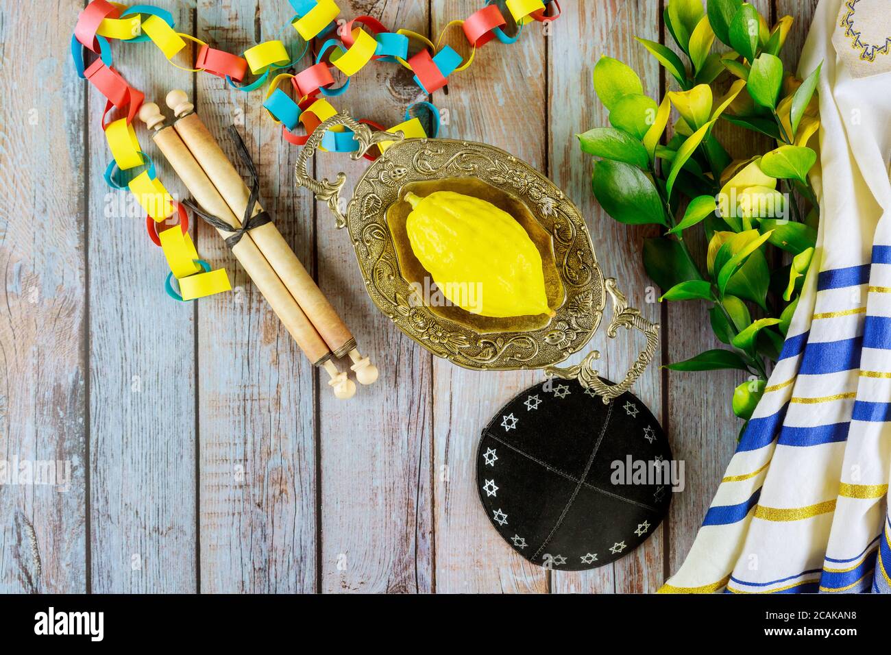 L'etrog giallastro religioso ebreo del citron è usato durante le feste di Sukkot e di tallit Foto Stock