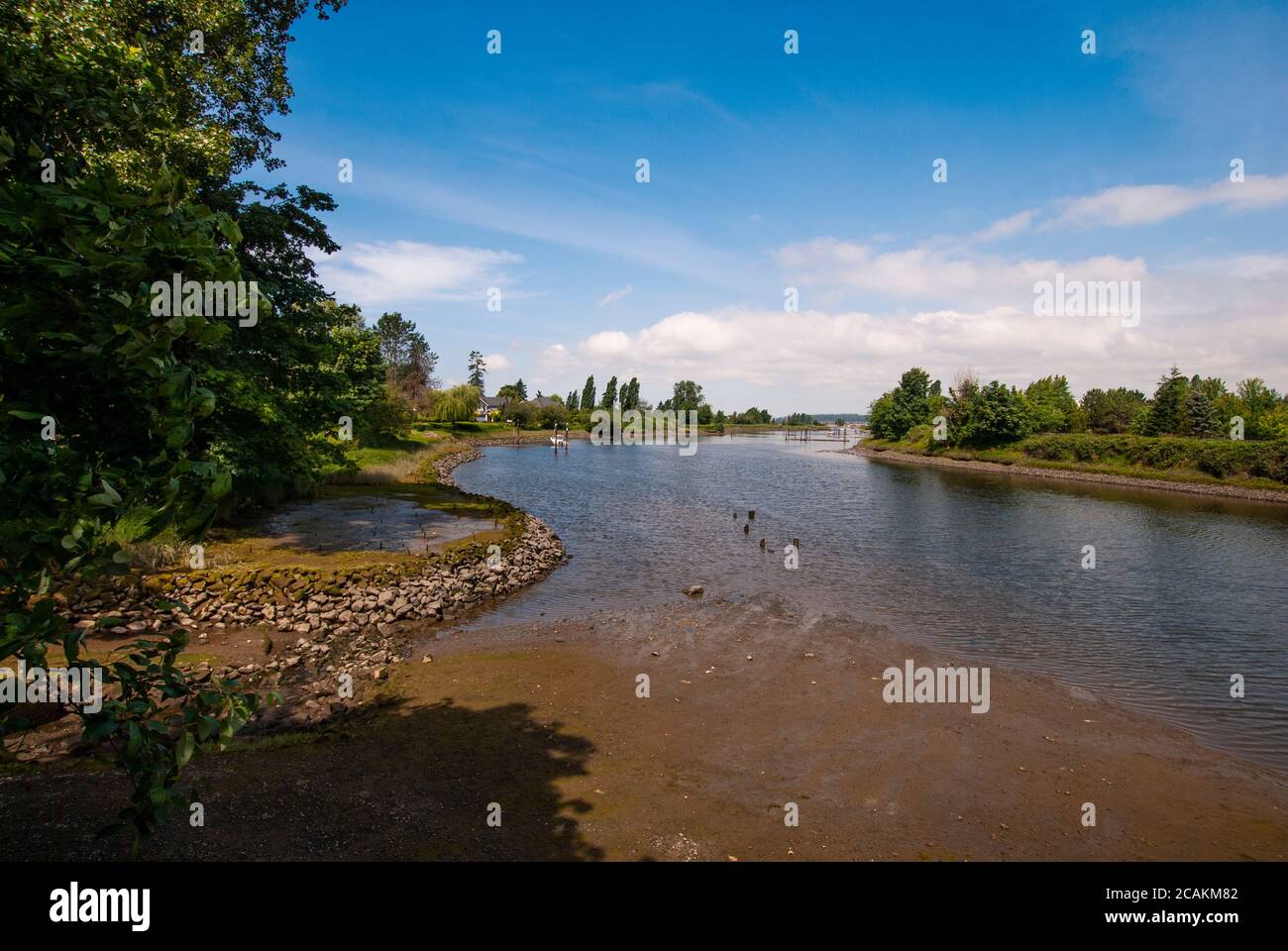 Fiume Nicomekl, South Surrey, British Columbia, Canada Foto Stock