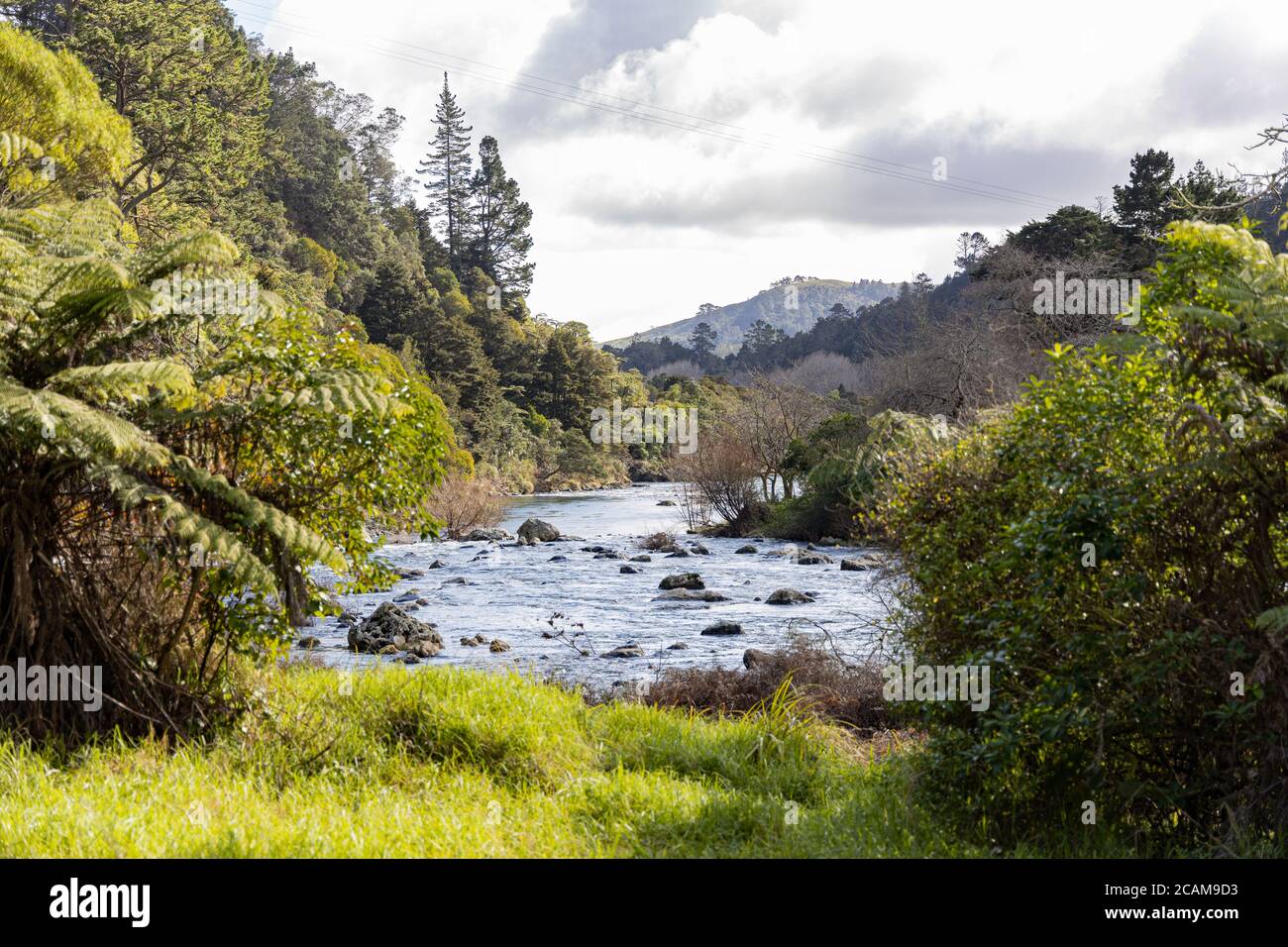 Karangahake Gorge Foto Stock