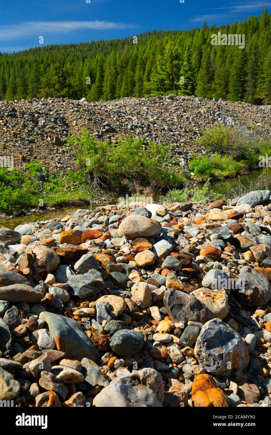 Dredge Tailings, Sumpter Valley Dredge state Heritage Area, Oregon Foto Stock