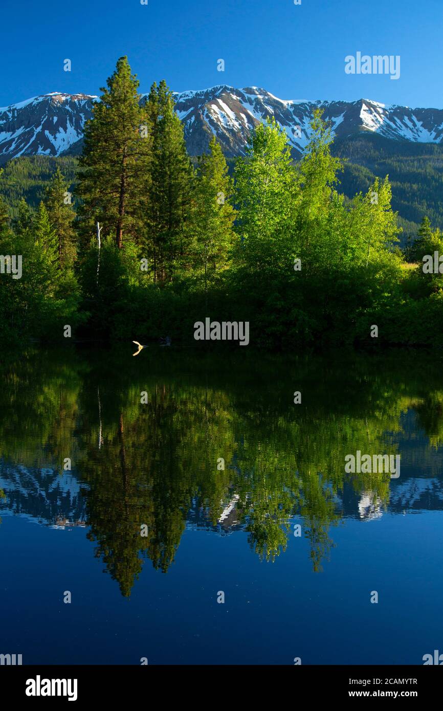 Knight's Pond, Iwetemlaykin state Park, Hells Canyon National Scenic Byway, Oregon Foto Stock