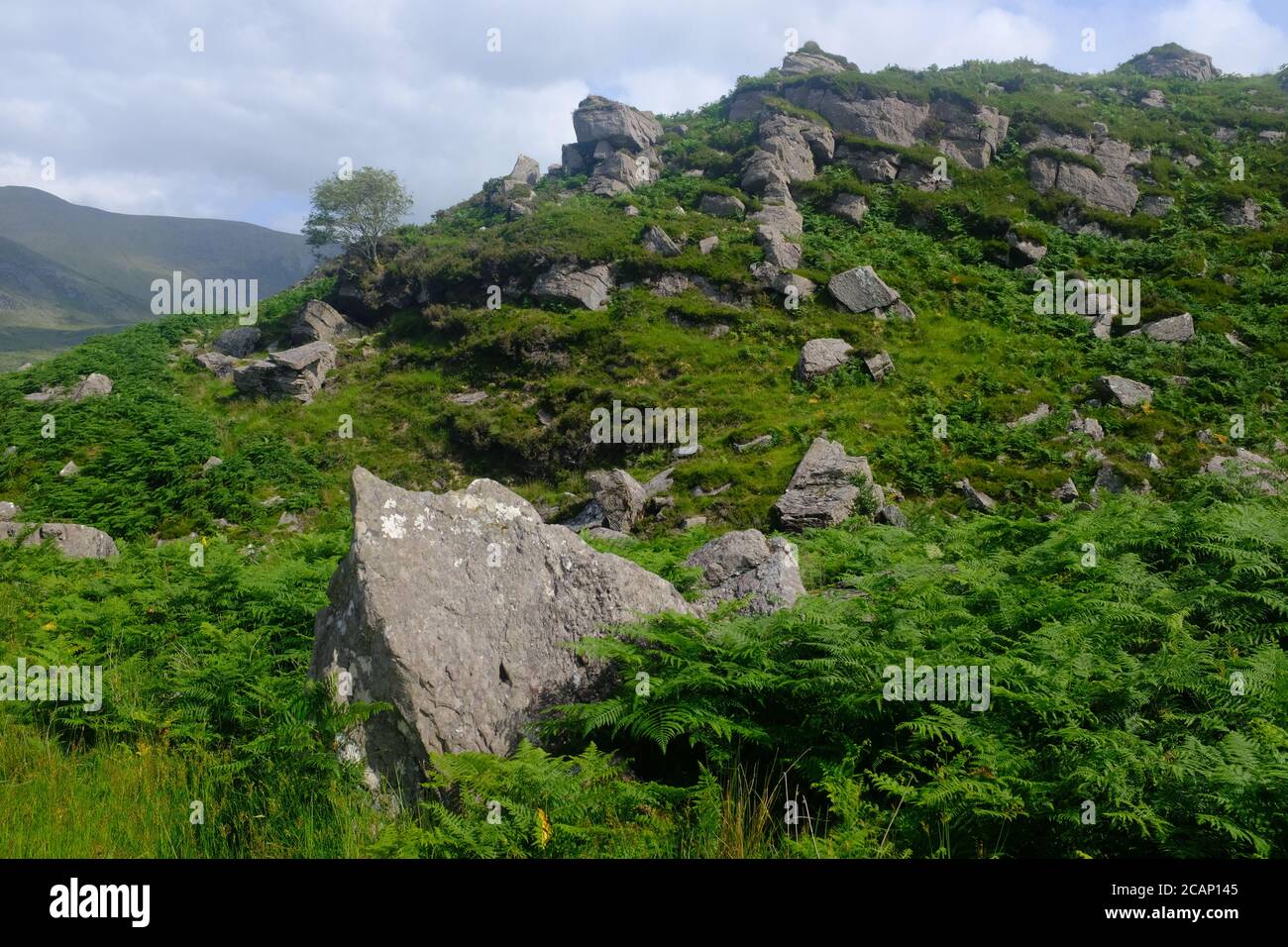 Camminando la Via Kerry nel 2019 in conte Kerry dentro Il sud dell'Irlanda che si aggira intorno alla penisola di Iveragh Glenbeigh A Glencarare Foto Stock