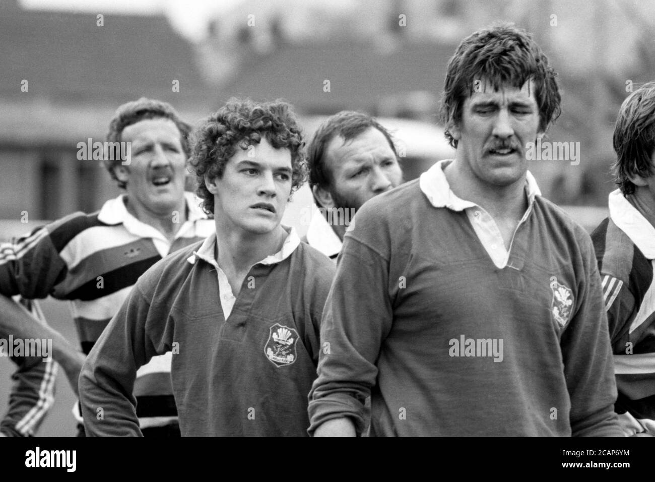 David Pickering, flanker della Llanelli RFC, in azione contro Bath RFC a Stradey Park, Llanelli, Carmarthenshire, il 27 settembre 1980. Foto Stock